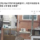 속보) 어린이대공원에서 얼룩말 탈출 이미지