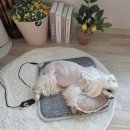 자연속의 펫 | 펫더멀 강아지 근적외선 방석 한 달 후기-관절염 슬개골 탈구 예방 효과