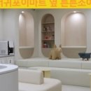 튼튼연합의원 이미지