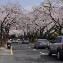 내동초등학교 이미지