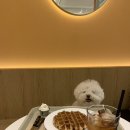 드도그카페 이미지