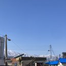 꿀꿀이촌 이미지