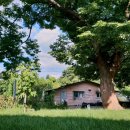 공기1리마을 이미지