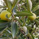 운주면 행정복지센터 이미지