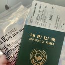 레이디 카 센타 | [벳푸살이] 1일차 / 아시아나항공 OZ132, 후쿠오카 공항 리무진, 벳푸 마트와 드럭스토어