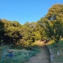 개포1리마을회관 이미지