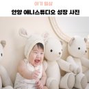 안양 애니스튜디오 컨셉 및 50일 ,100일 내돈내산 후기