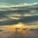 스테이 무 이미지