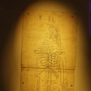밀양정통의원 | [서울역사박물관 특별전] 조선시대 중인계층, 전의감 의관과 사역원 역관