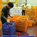 내촌농협 농산물산지유통센터 이미지