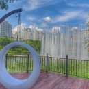 공간동백 이미지