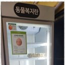 에그플 이미지
