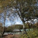 은사시 캠핑장 이미지