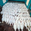 외연도5 | 광어다운샷 오천항 도지호 외연도 160광 오버