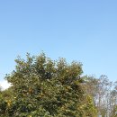 뜰과풍경 이미지