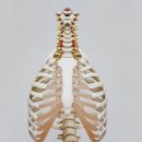 코코라인의원 이미지