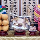 케이엔엠 이미지