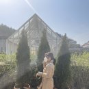 에덴정육점 - 여수시 좌수영로 12-3 | 에덴정육점
