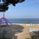 부흥해수욕장 이미지