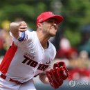 네일# - 강진군 | 네일#