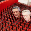 Studio Dolls 이미지