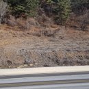 영월향교1길 이미지