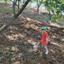 계수농장 이미지