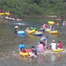 크린도우미 이미지