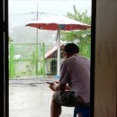 강촌장어집 이미지