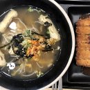 국수나무 이미지