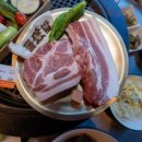 돼지왕국 이미지