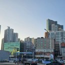 빠라빠라 포차 | 소래포구 대하구이 내돈내산 야장후기 해심수산+단골집(공영주차장 주차)