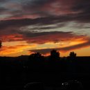 탤런트 독 스쿨 이미지