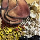 경희 고성 한의원 이미지