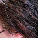 머스트브이 이미지