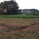 세안농장 이미지