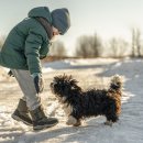 투게더 동물병원 이미지