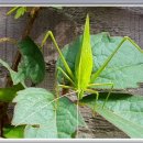 9호민박 이미지