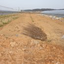 영봉농장 이미지