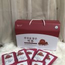 웰시스