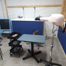 도그미용실 이미지