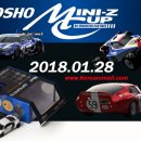 [코리아알씨] 2018 KYOSHO MINI-Z CUP 이미지