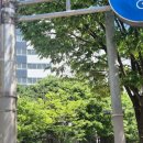 충민로2길 | [송파구 임산부 혜택] 송파산모건강증진센터 영유아 응급처치 실전 보건소 교육 후기