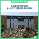 울산해양박물관 이미지