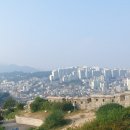 다함 행정사사무소 이미지