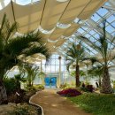 영남안경마트 | 경남 밀양 선샤인테마파크 네이처에코리움 부산근교 아이랑 실내