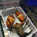 시청동3길 이미지