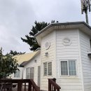 파인펜션 | 충남 서산 애견동반 독채 숙소 파인씨펜션 2박 3일 후기