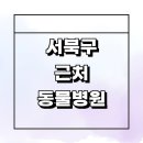 윌동물외상센터 | 천안 서북구 근처 동물병원 잘하는곳 추천 정보 치료...고양이 수술 중성화 가격 후기 공휴일 24시 새벽