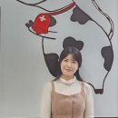 슈비쯔유치원 이미지